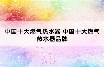 中国十大燃气热水器 中国十大燃气热水器品牌